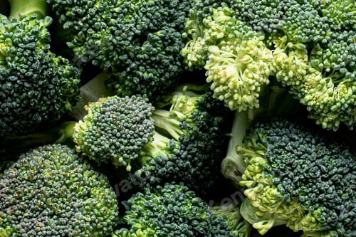 Preview: Cut fresh natural green broccoli