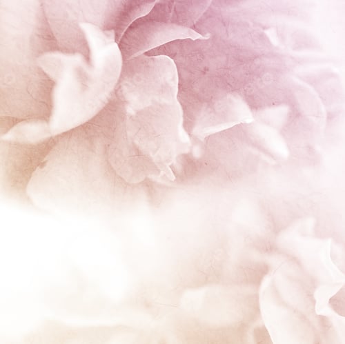 Preview: Sweet Color Roses Flower In Soft And Blur Style On Mulberry Paper Texture