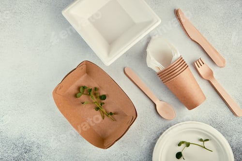 Preview: Biodegradable disposable tableware. Paper plates, cups, boxes. Wooden cutlery. Flat lay