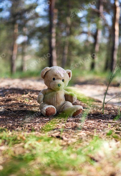 Preview: Abandoned brown teddy bear sitting in the middle of the forest