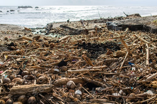 Preview: Heap of rubbish and waste on the beach in Bali, Indonesia