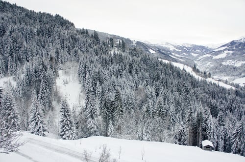 Vorschau: Verschneite Landschaft