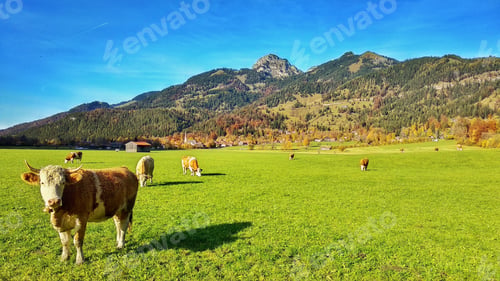 Preview: Rural tourism in Bayern