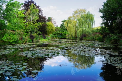 Preview: Pond with lilies in Giverny