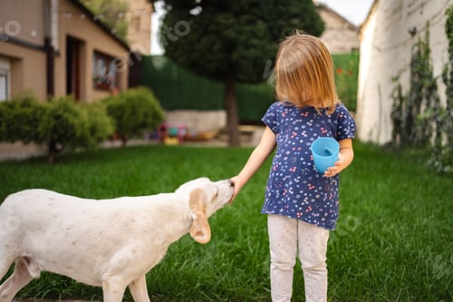 Vista previa: Joyful moments between a child and her playful dog in a sunny yard