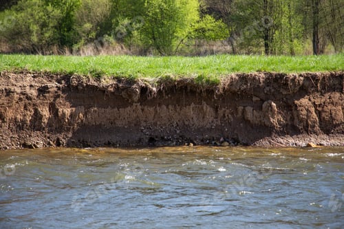 Preview: A vertical riverbank with steep wall of dirt suitable for nesting of kingfisher