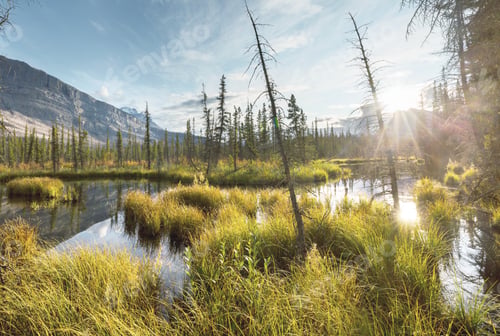 Preview: Autumn in Canada