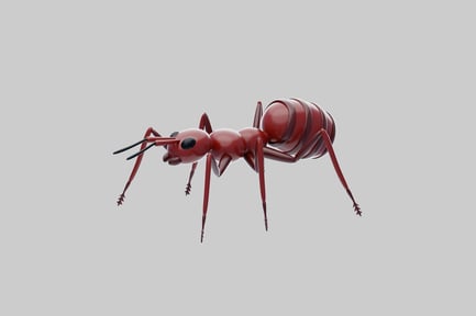 Preview: Red ant worker insect object