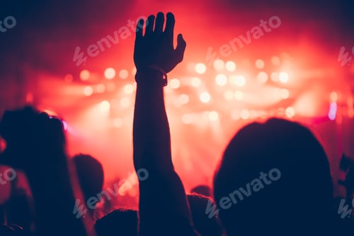 Preview: Cheering crowd at concert enjoying music performance
