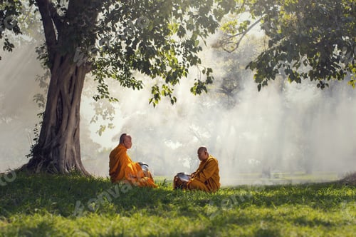 Preview: Two monks meditation under the trees with sun ray, Buddha religion concept