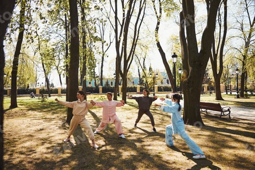 Preview: Tai chi group having a class among the trees