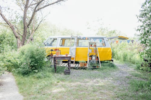 Preview: A lovely garden with a vintage minivan and an old wooden table and shelves with pots of home plants.