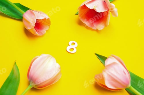 Preview: Pink tulips on yellow background