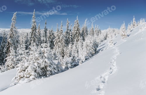 Preview: Fantastic winter landscape. Magic sunset in the mountains a frosty day. On the eve of the holiday