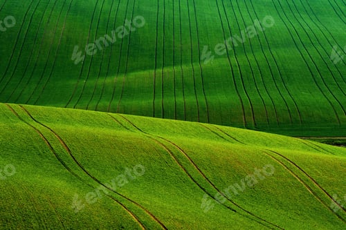 Preview: Detail scenery at South Moravian field during spring, Czech republic.