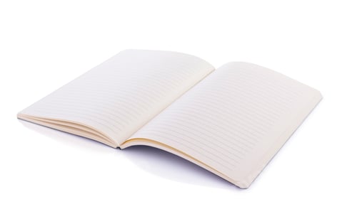 Preview: notepad or notebook paper at white