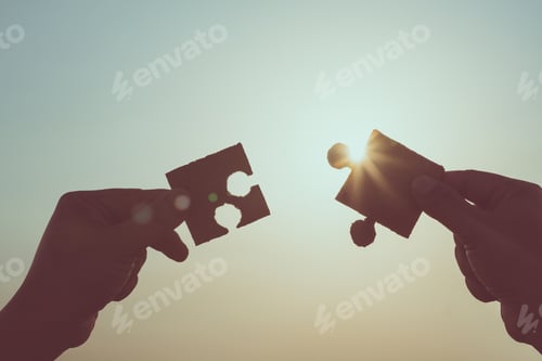 Preview: Connecting Puzzle Pieces in the Sunlight