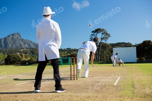 Preview: Team playing cricket on pitch against sky