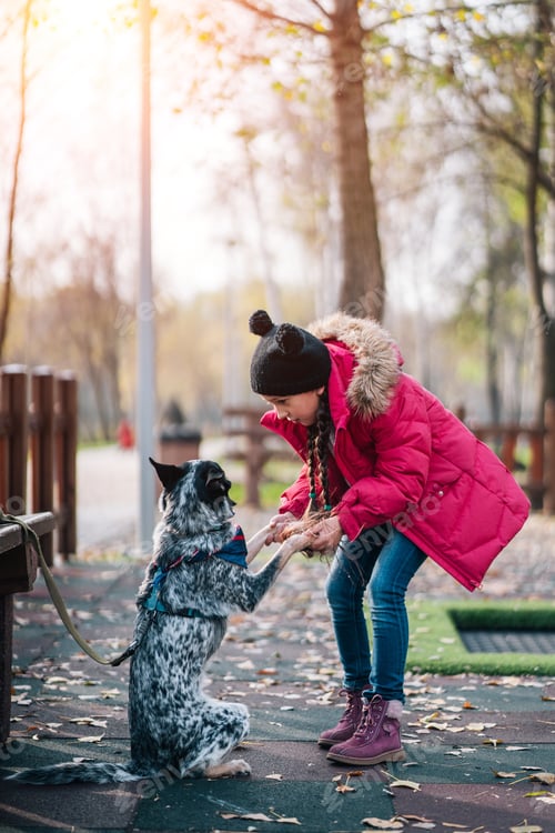 Preview: Girl child playing with dog in autumn sunny park, leaf fall