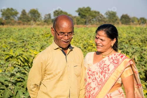 Preview: Happy Indian farmer couple at brinjal farm, enjoying nature.