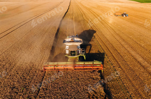 Preview: Agricultural machine harvesting wheat