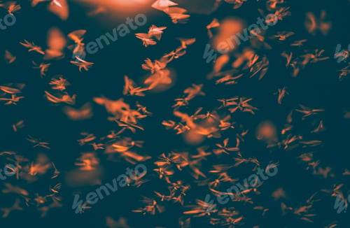 Preview: Abstract and magical image of flying moths.