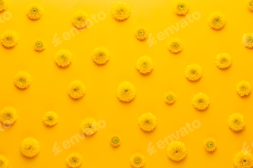 Preview: Yellow flower pattern on a yellow background. Spring greeting card.