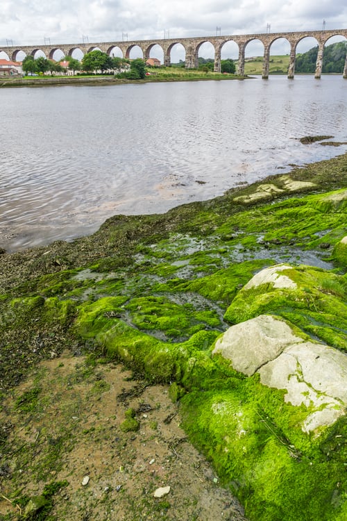 Preview: River and bridge in a small town in Scotland