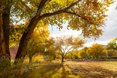 Visualização: Autumn garden