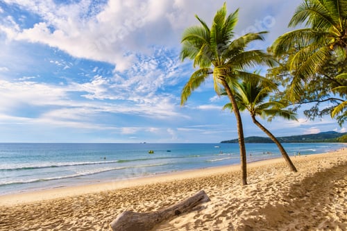 Preview: Bang Tao Beach during sunset in Phuket Thailand, palm trees during sunset on the beach