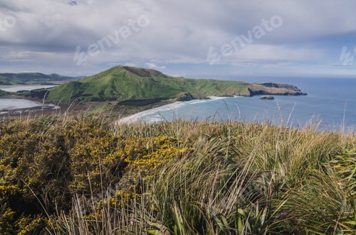 Preview: Coastal track, New Zealand