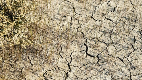 Preview: Drought Problem. Cracked Dry Ground.