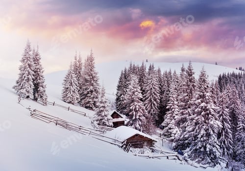 Preview: Cozy wooden hut high in the snowy mountains. Great pine trees on the background. Abandoned kolyba
