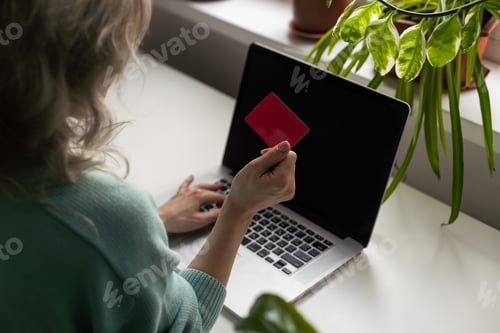 Preview: Woman Using Laptop with Credit Card in Home