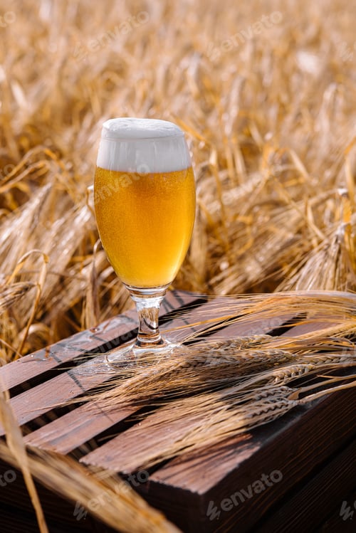 Preview: glass of blonde beer on wooden table with sunny wheat field