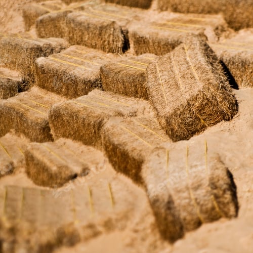 Preview: Hay Bales