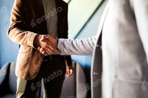 Preview: Business handshake and business people concept. Partnership, deal, agreement