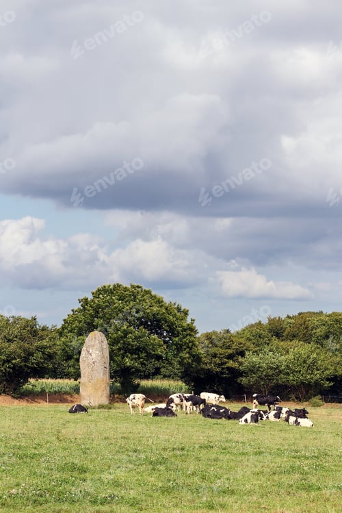 Preview: Menhir of Kerguezennec in the middle of grassland, Begard, Brittany, France