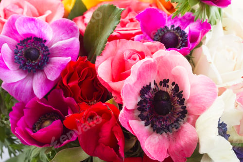 Preview: Anemones flowers on stone background