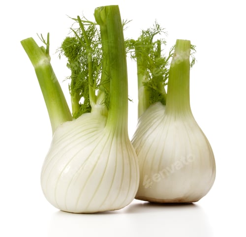 Vista previa: Fresh fennel bulb isolated on white background close up