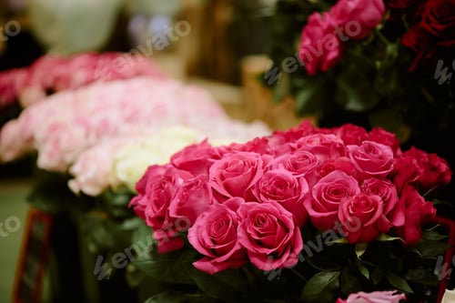 Preview: Massive Rose Bouquet