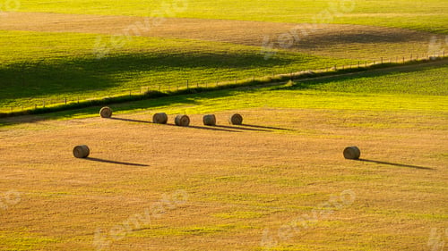 Preview: A field of round hay bales, short dry grass and a fence.