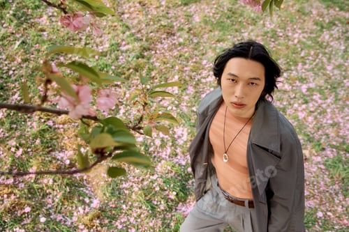 Preview: Stylish young man enjoying a serene afternoon in a blossoming park