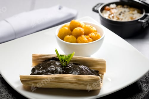 Preview: Close-up of Tamale with typical Mexican mole