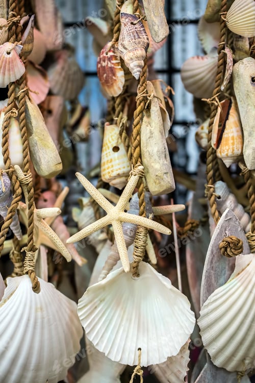 Preview: Starfishes, pearls, and amazing seashells close up