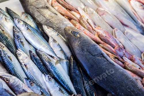 Preview: Raw fish market. Seafood healthy fish market.