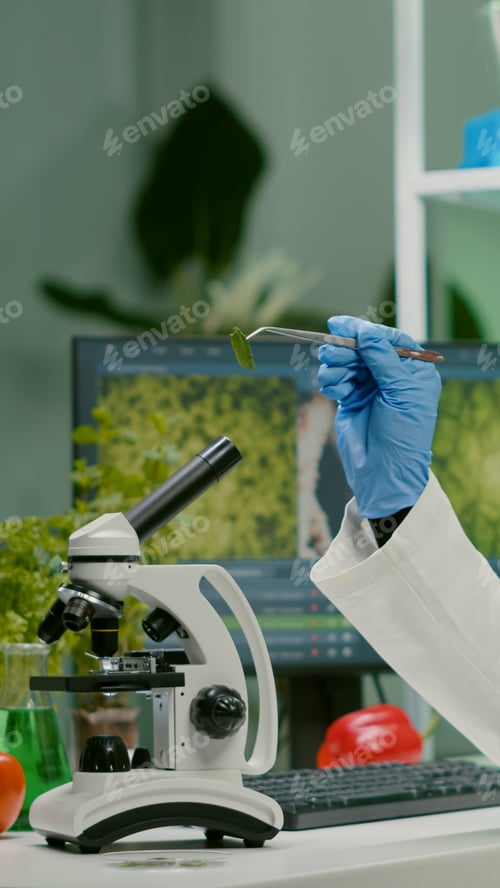 Preview: Pharmaceutical woman looking at organic leaf sample