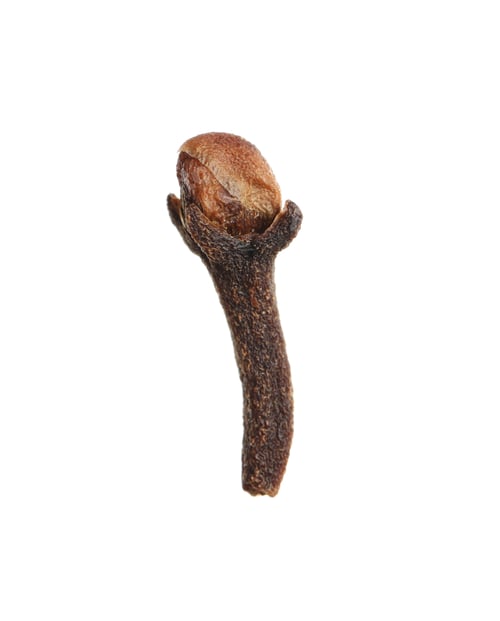 Preview: Dry clove isolated on white. Mulled wine ingredient