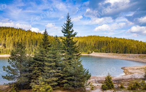 Preview: Lake with clear water and stone shore in spruce forest with fir trees against a daytime sky