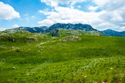 Preview: green beautiful valley, mountains and blue sky in Durmitor massif, Montenegro